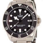 Tudor Pelagos — photo 1