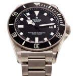 Tudor Pelagos — photo 4