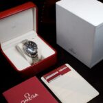 Omega Planet Ocean Ceramic 42 — photo 12
