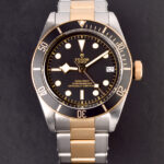 Tudor Black Bay S&G 41mm Reference 79733N — photo 5