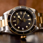 Tudor Black Bay S&G 41mm Reference 79733N — photo 8