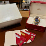 Omega Planet Ocean Co Axial Chronometer 42mm Reference 2209.50.00 — photo 12