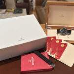 Omega Seamaster Diver 300M 42mm Ref 210.32.42.20.01.001 Circa 2023 — photo 11