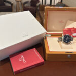 Omega Planet Ocean GMT Titanium 43.5mm — photo 12