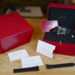 Carter Santos De Cartier ADLC 39.8mm Ref WSSA0039 Circa 2022 — photo 12