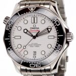 Omega Seamaster Diver 300M Ref 210.30.42.20.04.001 — photo 1