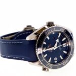 Omega Planet Ocean Titanium 37.5mm — photo 9