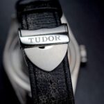 Tudor Heritage Black Bay 200M 41mm 79230N 2020 — photo 10