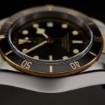 Tudor Black Bay Heritage Steel & Gold 41mm Reference 79733N — photo 10