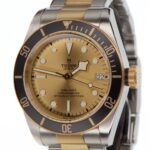 Tudor Black Bay 18K Gold & Steel 41mm Reference 79733N — photo 1