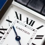 Cartier Tank Solo XL 31 x 40mm Automatic WSTA0029 — photo 6