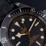 Tudor Heritage Black Bay 200M 41mm 79230N 2020 — photo 7