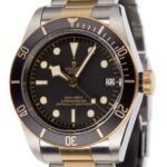 Tudor Black Bay Heritage Steel & Gold 41mm Reference 79733N — photo 1