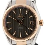 Omega Aqua Terra Gold/Steel — photo 1