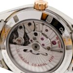Omega Aqua Terra Gold/Steel — photo 10