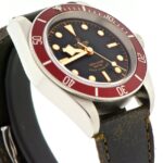 Tudor Black Bay — photo 5