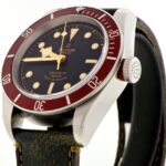 Tudor Black Bay — photo 6