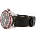 Tudor Black Bay — photo 8