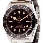 Tudor Black Bay 41mm In House. — photo 1