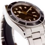 Tudor Black Bay 41mm In House. — photo 4