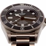 Tudor Pelagos 42mm Ref. 25600TN 2019 — photo 4