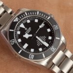 Tudor Pelagos 42mm Ref. 25600TN 2019 — photo 8