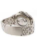 Omega Seamaster 300m GMT Co-Axial 41mm — photo 9