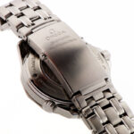 Omega Seamaster 300m GMT Co-Axial 41mm — photo 10