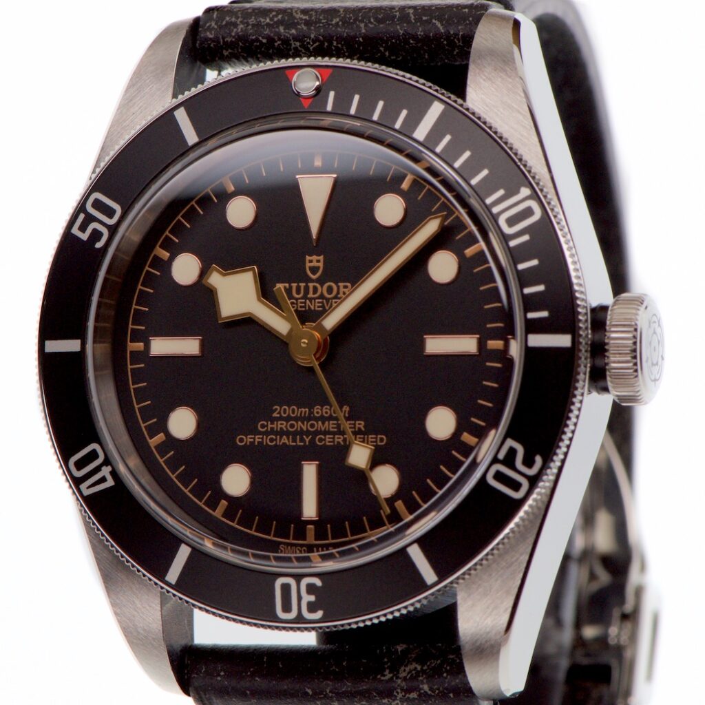 Tudor Heritage Black Bay 200M 41mm 79230N 2020 — photo 1