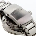 Omega Seamaster 300 Master Co-Axial 41mm — photo 10