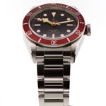 Tudor Black Bay — photo 4