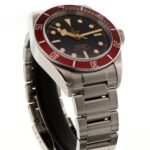Tudor Black Bay — photo 5