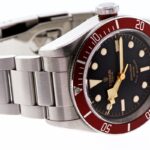 Tudor Black Bay — photo 12