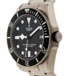 Tudor Pelagos — photo 2