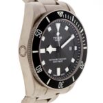 Tudor Pelagos — photo 3