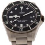Tudor Pelagos — photo 4