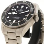 Tudor Pelagos — photo 5