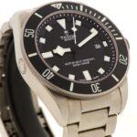 Tudor Pelagos — photo 6