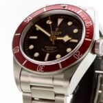 Tudor Black Bay 42mm — photo 4