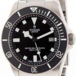Tudor Pelagos — photo 1