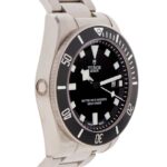Tudor Pelagos — photo 3