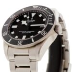 Tudor Pelagos — photo 5