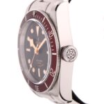 Tudor Black Bay — photo 4