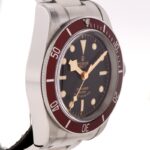 Tudor Black Bay — photo 3