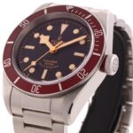 Tudor Black Bay — photo 6