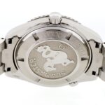 Omega Planet Ocean XL 45.5mm — photo 9