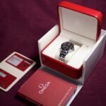 Omega Seamaster 300m — photo 12