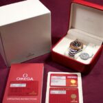 Omega Planet Ocean XL 45.5mm — photo 12