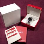 Omega Seamaster Aqua Terra XL — photo 12