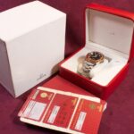 Omega Planet Ocean XL — photo 11